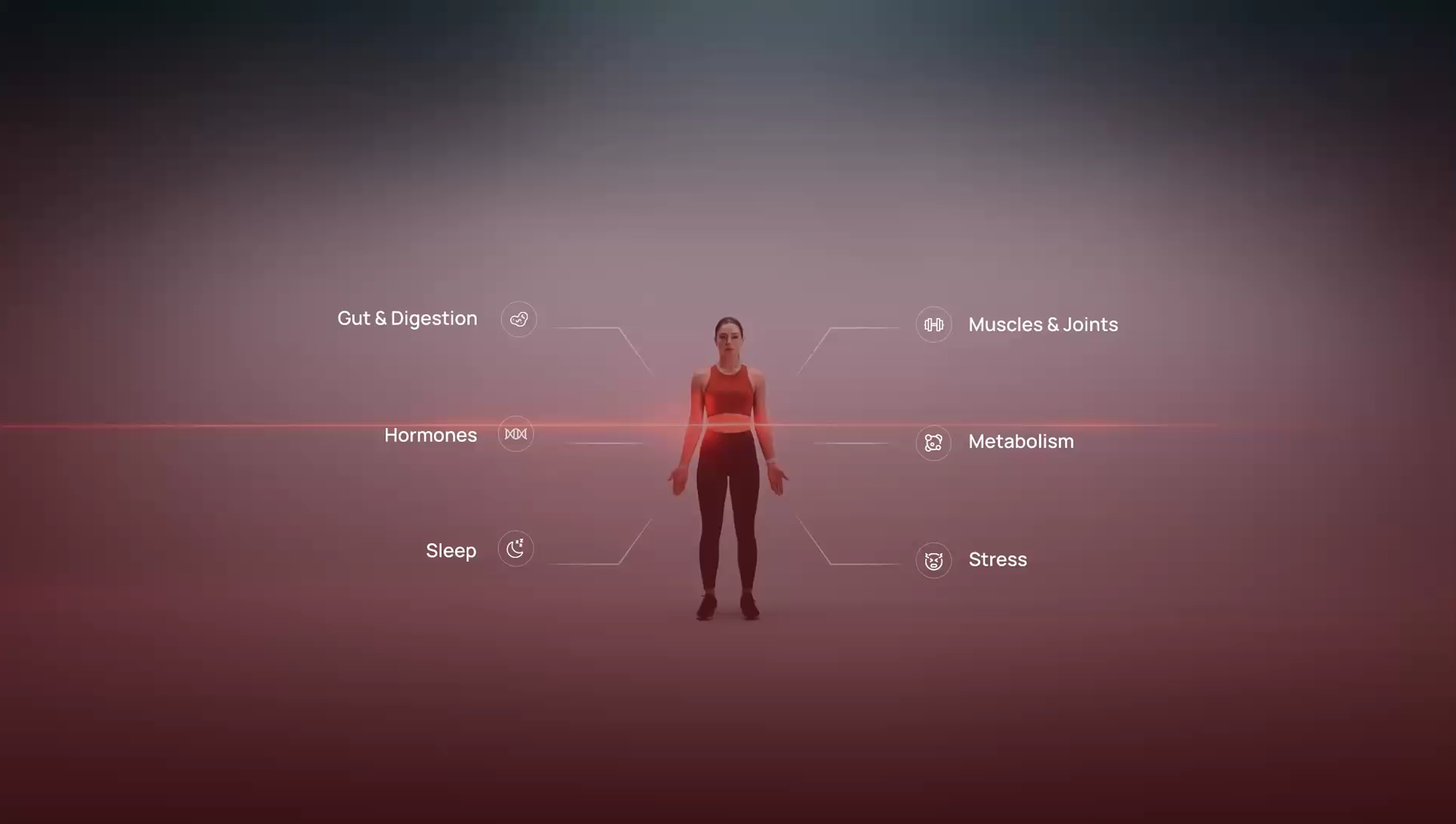 Gym section background